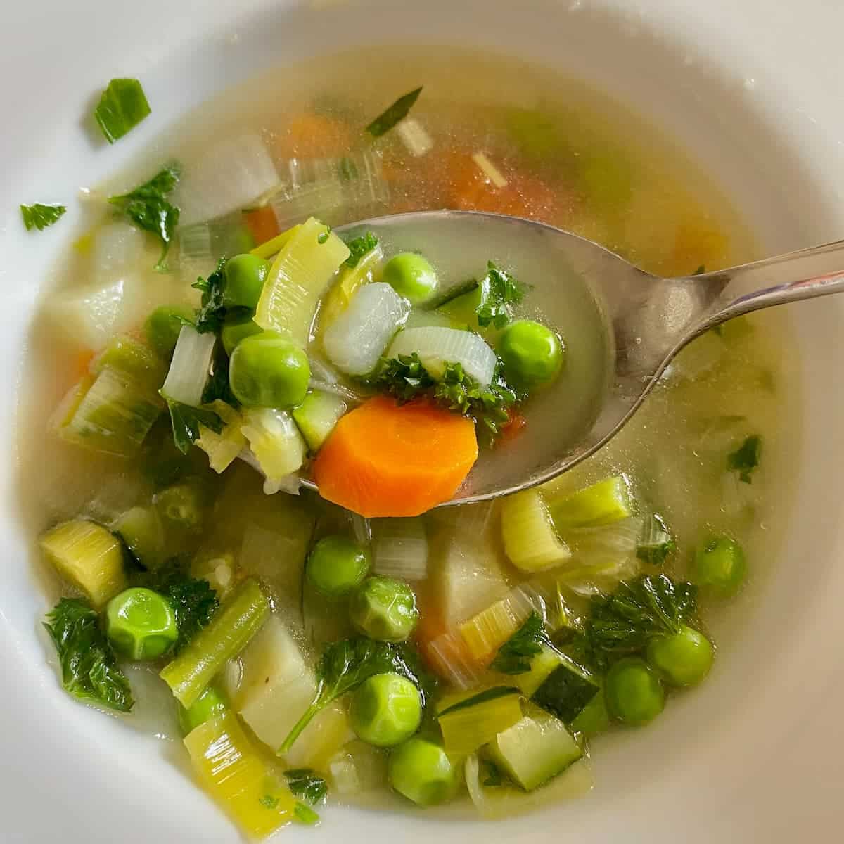 Fresh Bowl Soup Veg