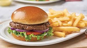 Ham Burger with Fries