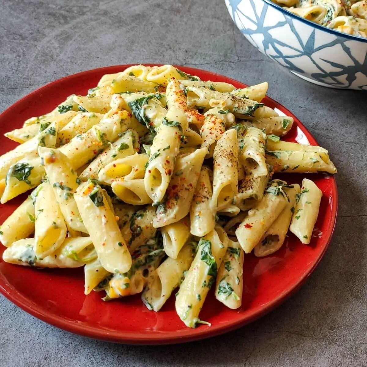 Veg Cheese Pasta